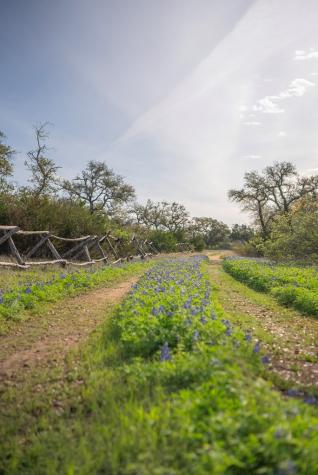 Tbd Bell Springs Road Dripping Springs TX 78620