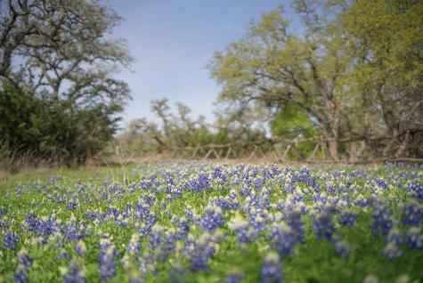 Tbd Bell Springs Road Dripping Springs TX 78620