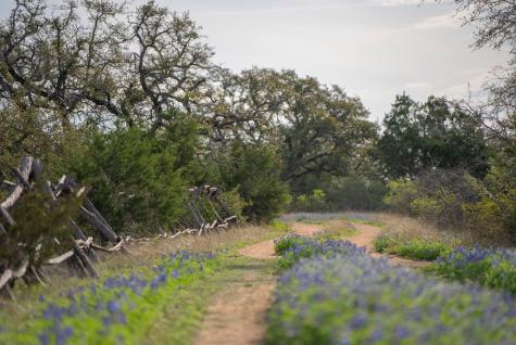 Tbd Bell Springs Road Dripping Springs TX 78620
