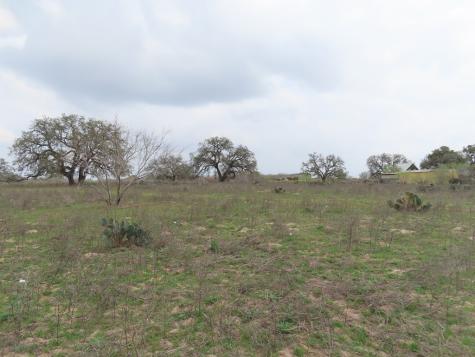 678 Tank Hollow Poteet TX 78065