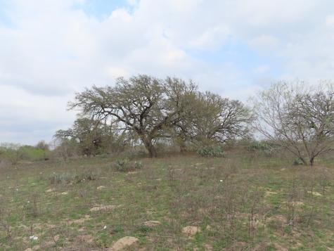 678 Tank Hollow Poteet TX 78065