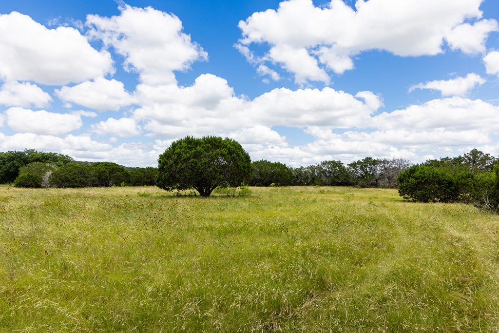 289 Hoot Owl Hollow Ingram TX 78025