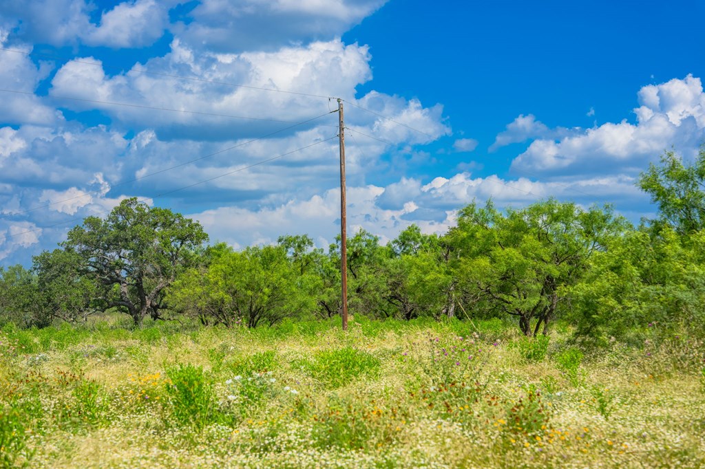 883 Fm 1773 Menard TX 76859