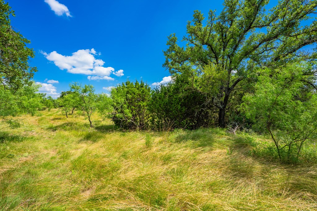 883 Fm 1773 Menard TX 76859