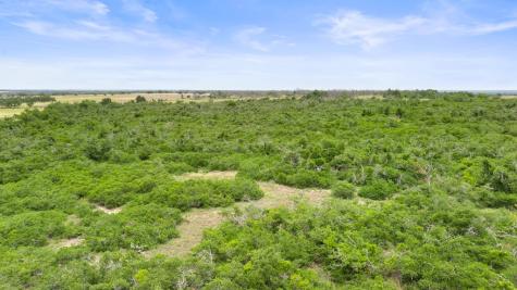 3049 Reservation Road Harper TX 78631