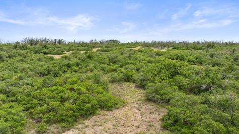 3049 Reservation Road Harper TX 78631