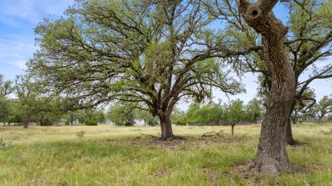 3049 Reservation Road Harper TX 78631