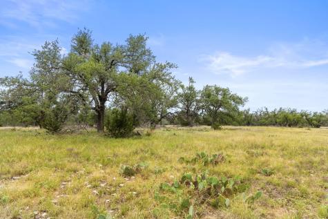3049 Reservation Road Harper TX 78631