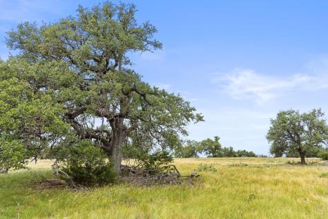 3049 Reservation Road Harper TX 78631
