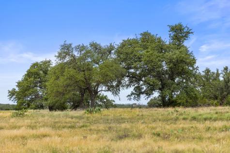 3049 Reservation Road Harper TX 78631