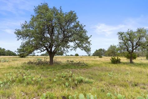 3049 Reservation Road Harper TX 78631