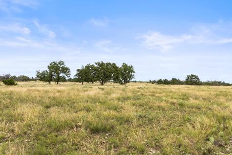 3049 Reservation Road Harper TX 78631