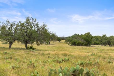 3049 Reservation Road Harper TX 78631