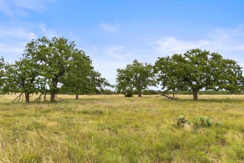 3049 Reservation Road Harper TX 78631