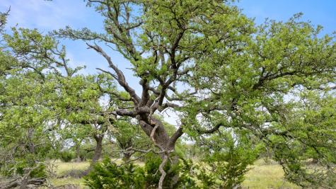 3049 Reservation Road Harper TX 78631