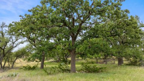 3049 Reservation Road Harper TX 78631