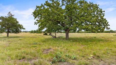 3049 Reservation Road Harper TX 78631