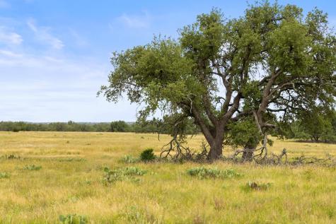 3049 Reservation Road Harper TX 78631