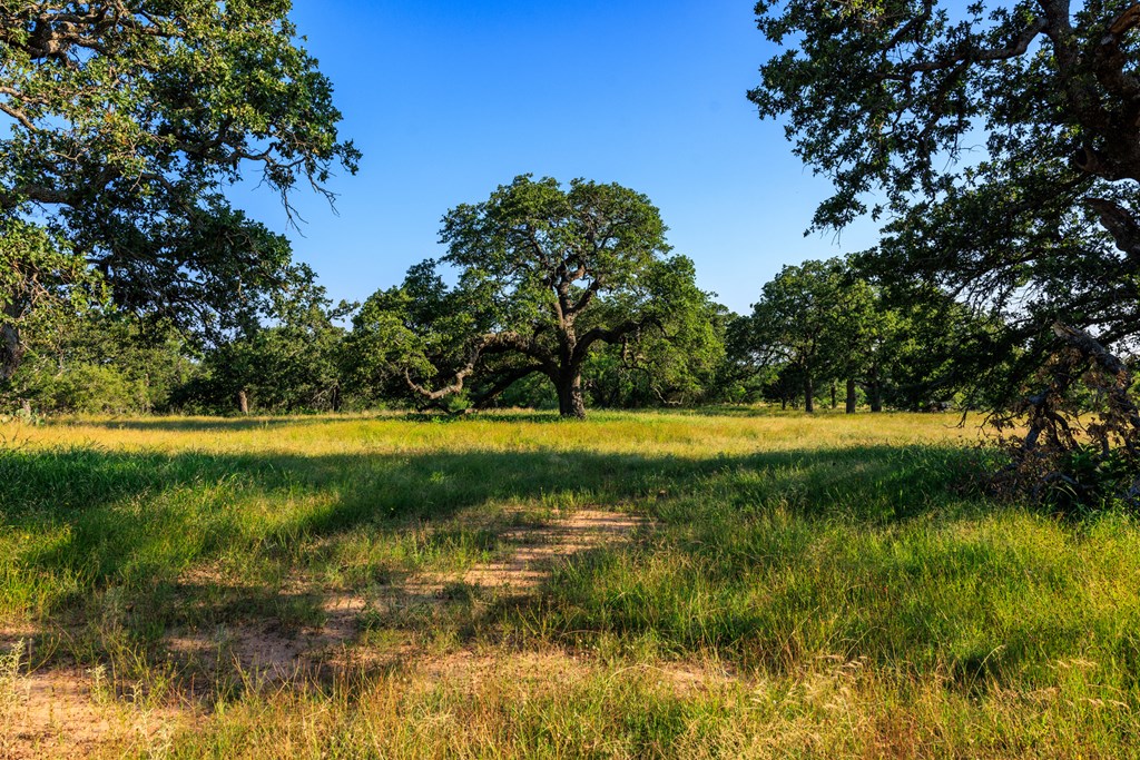 111 County Road 113 Llano TX 78643