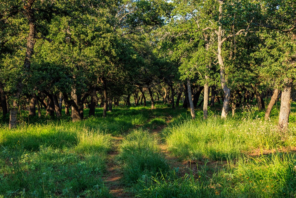 111 County Road 113 Llano TX 78643