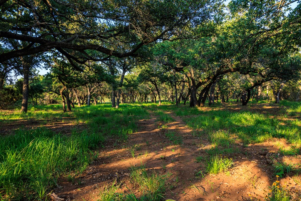 111 County Road 113 Llano TX 78643