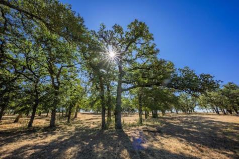 2 Sultemeier-moellering Road Fredericksburg TX 78624