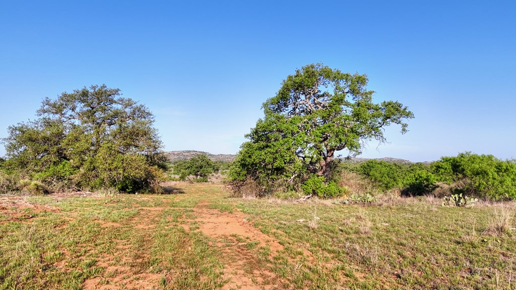 6540 County Road 409 Llano TX 78643