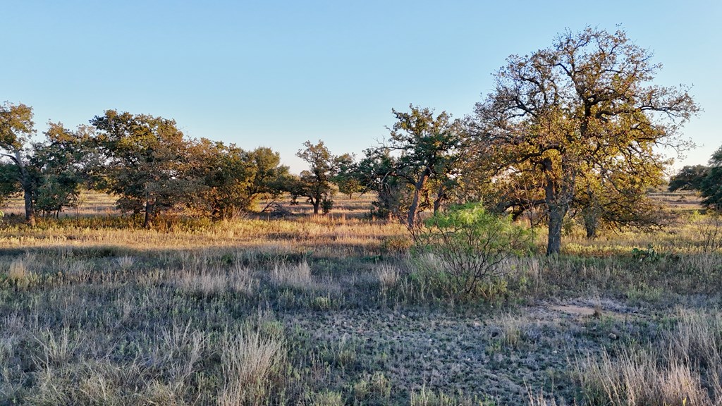 6540 County Road 409 Llano TX 78643