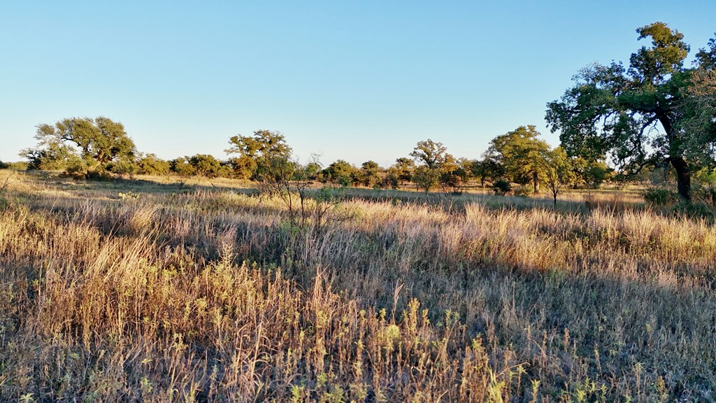 6540 County Road 409 Llano TX 78643