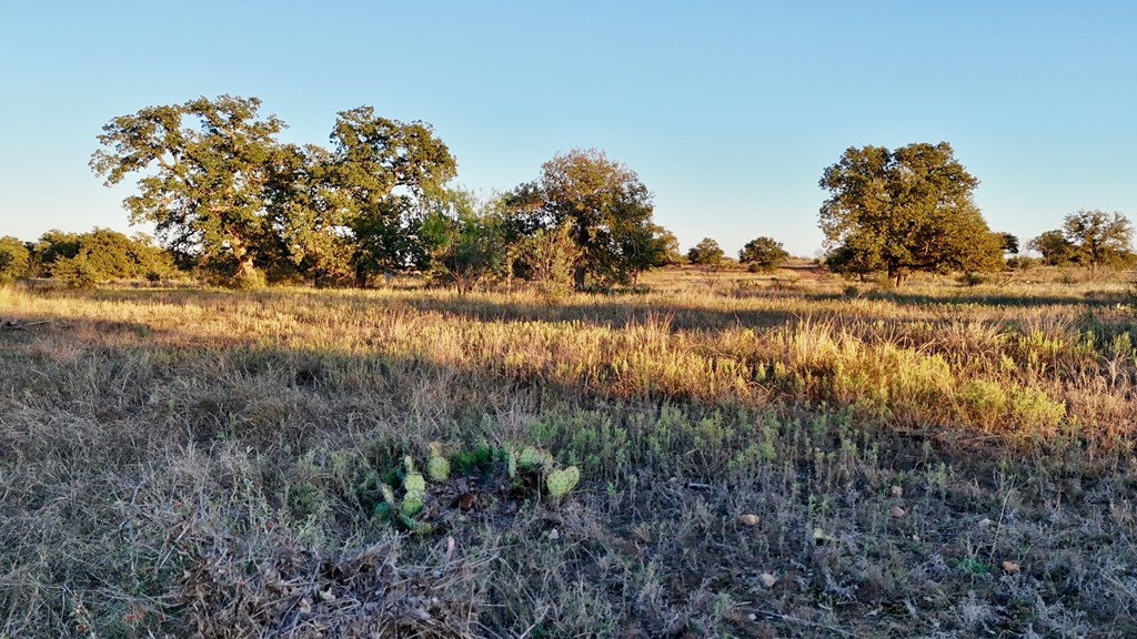 6540 County Road 409 Llano TX 78643
