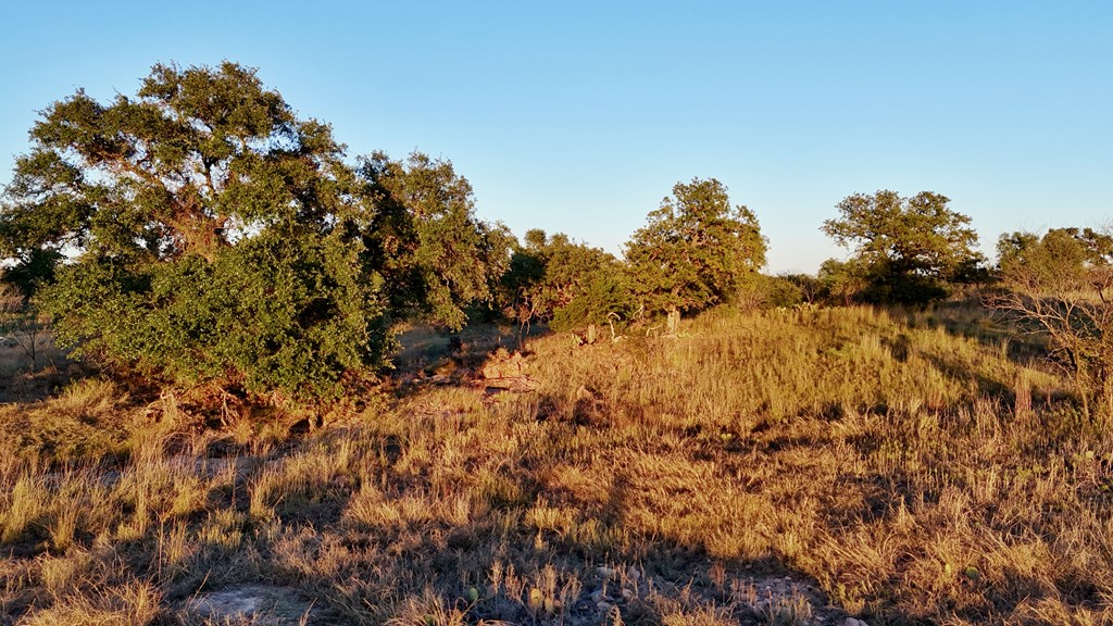 6540 County Road 409 Llano TX 78643