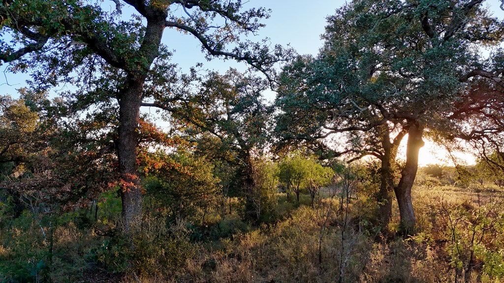 6540 County Road 409 Llano TX 78643