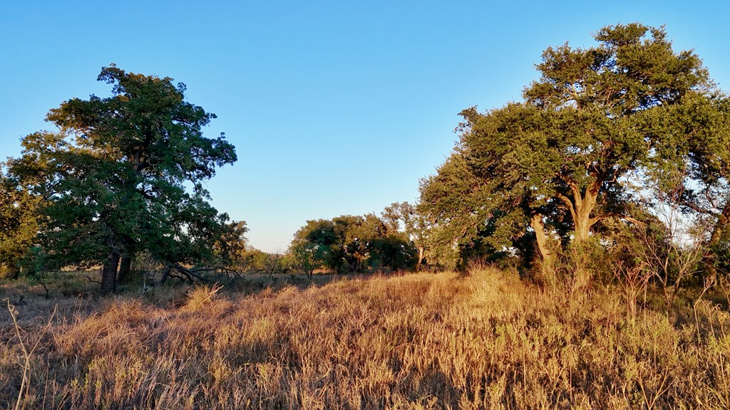 6540 County Road 409 Llano TX 78643