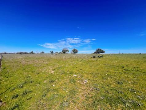 283 Cut Off Road Fredericksburg TX 78624