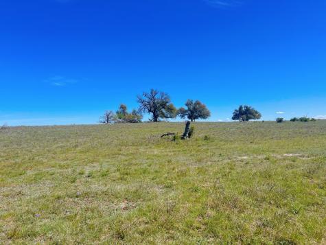 283 Cut Off Road Fredericksburg TX 78624