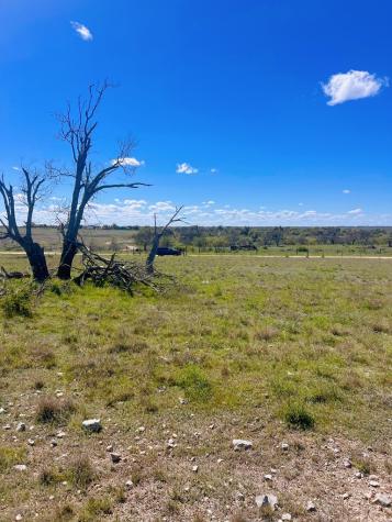 283 Cut Off Road Fredericksburg TX 78624
