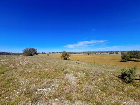 283 Cut Off Road Fredericksburg TX 78624