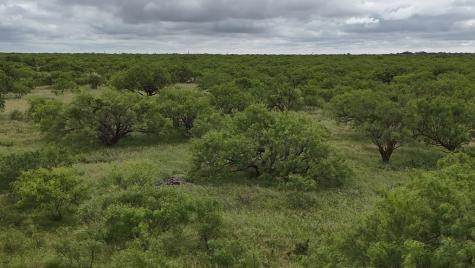 Tbd W Highway 190 Eldorado TX 76936