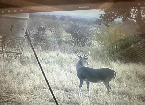 Tract 1 Regu Road Fredericksburg TX 78624