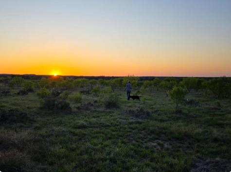 Tract 1 Regu Road Fredericksburg TX 78624