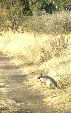 Tract 1 Regu Road Fredericksburg TX 78624