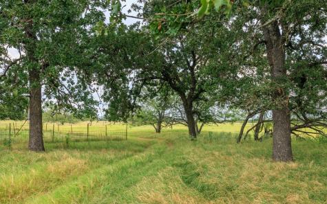 1080 S Eagle Street Fredericksburg TX 78624