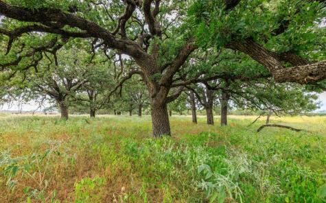 1080 S Eagle Street Fredericksburg TX 78624