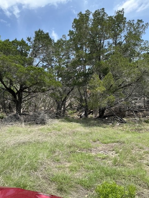 Hunt TX 78024