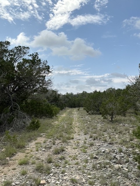Hunt TX 78024
