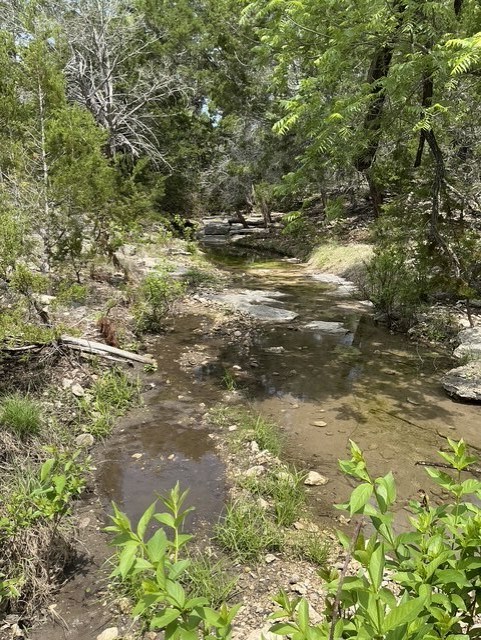 Hunt TX 78024