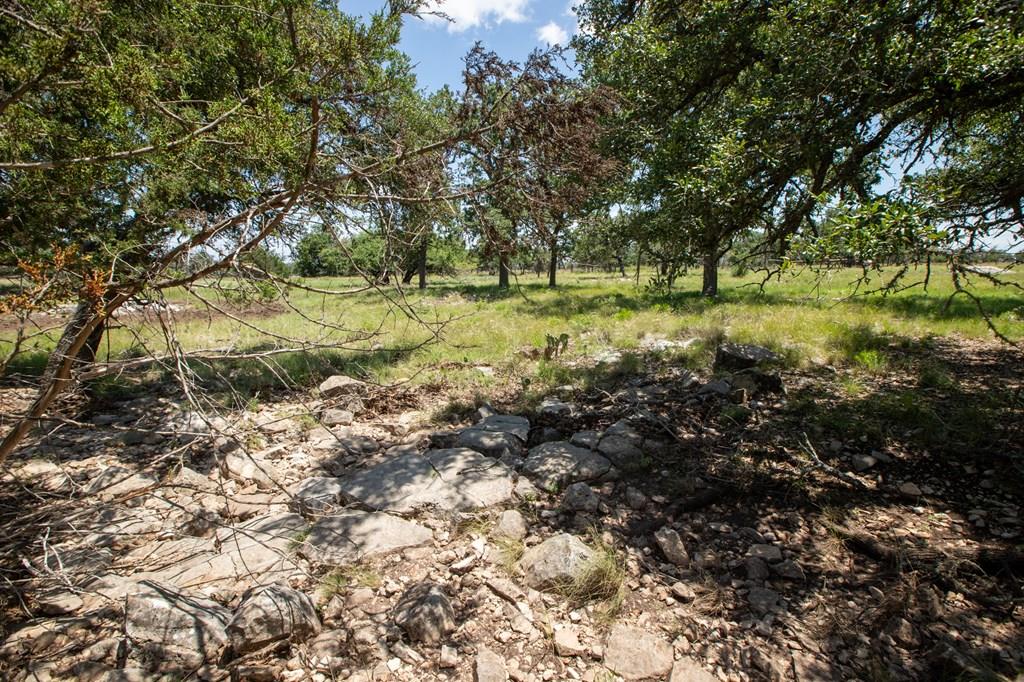 8812 Old Harper Road Fredericksburg TX 78624