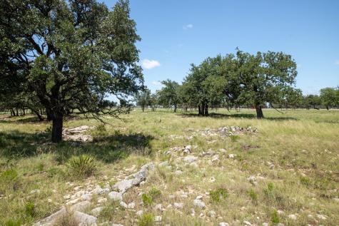 8812 Old Harper Road Fredericksburg TX 78624