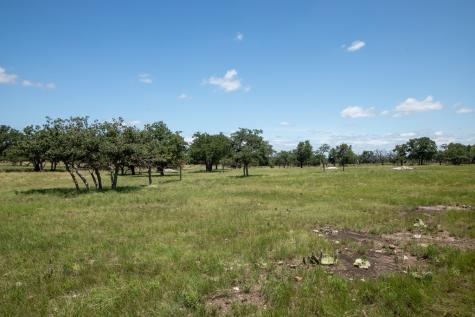 8812 Old Harper Road Fredericksburg TX 78624