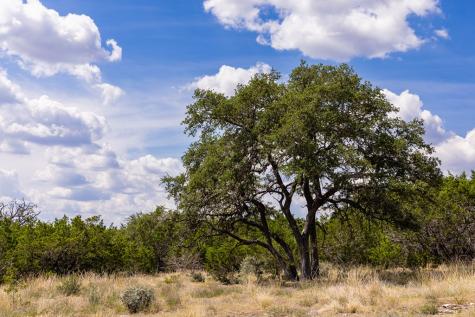 352 Dark Sky Path Kerrville TX 78028
